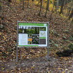 Sehen Sie selbst... © Bundesforstbetrieb Thüringen-Erzgebirge