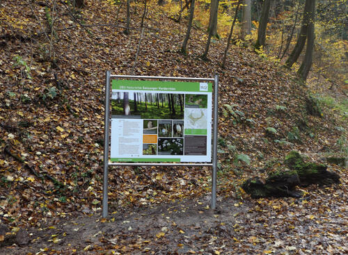 Sehen Sie selbst... © Bundesforstbetrieb Thüringen-Erzgebirge