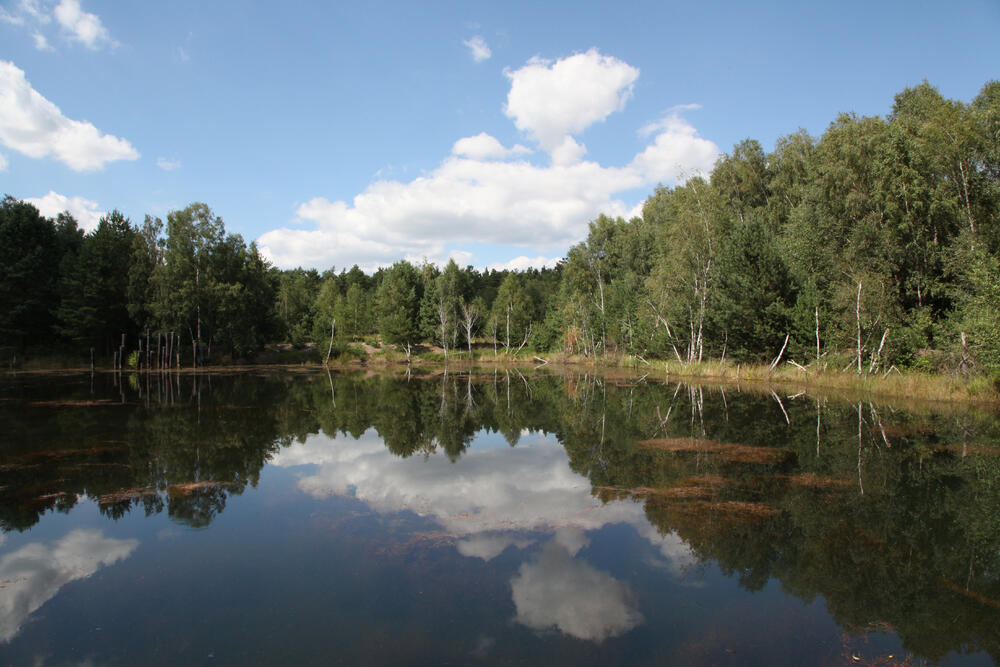 Löschteich auf der Naturerbefläche Weißhaus © Heike Culmsee/DBU Naturerbe