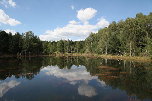 Löschteich auf der Naturerbefläche Weißhaus © Heike Culmsee/DBU Naturerbe