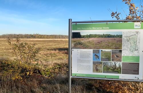 Sehen Sie selbst... © Bundesforst/ Rainer Schmidt