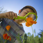 Junge mit Lupe © FreeProd - Fotolia.com