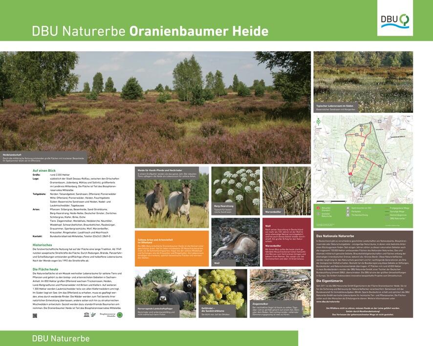 Infotafel zur DBU-Naturerbefläche Oranienbaumer Heide 