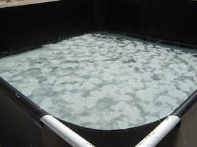 Kristallisation © DBU-Projektpartner