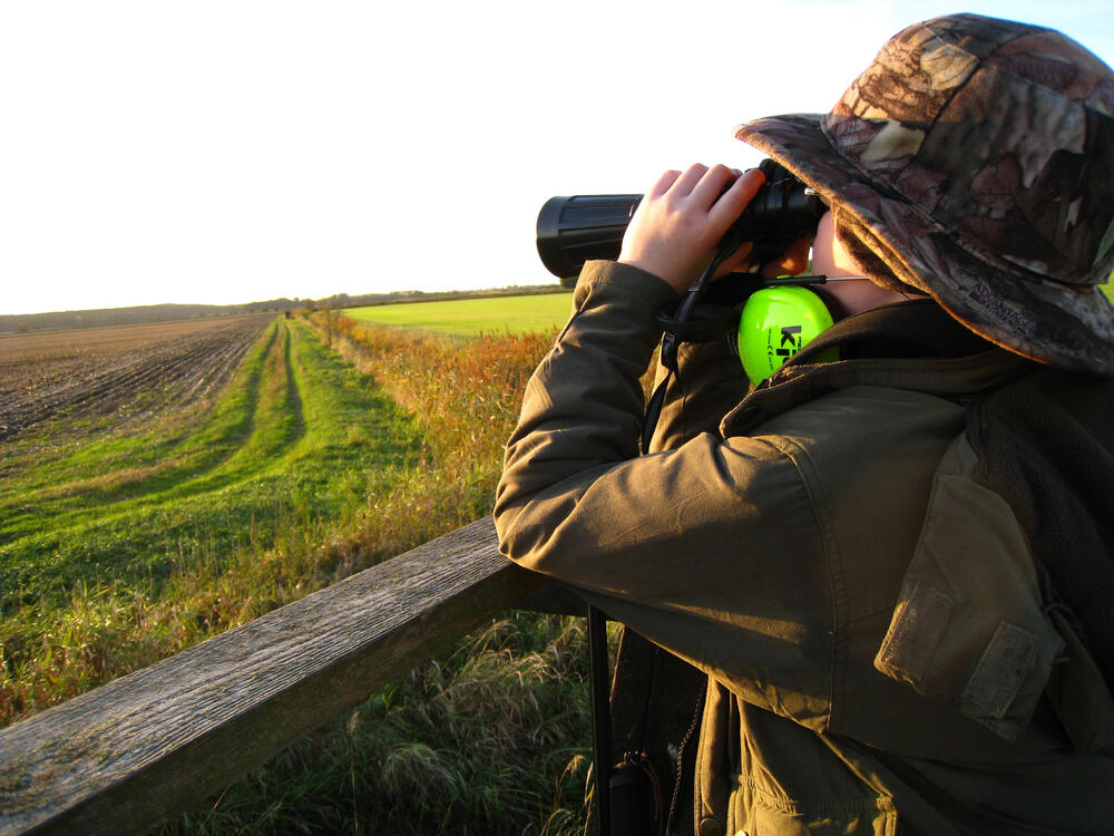 BNE © Max Kühn/piclease