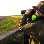 BNE © Max Kühn/piclease