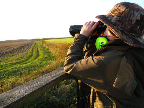 BNE © Max Kühn/piclease