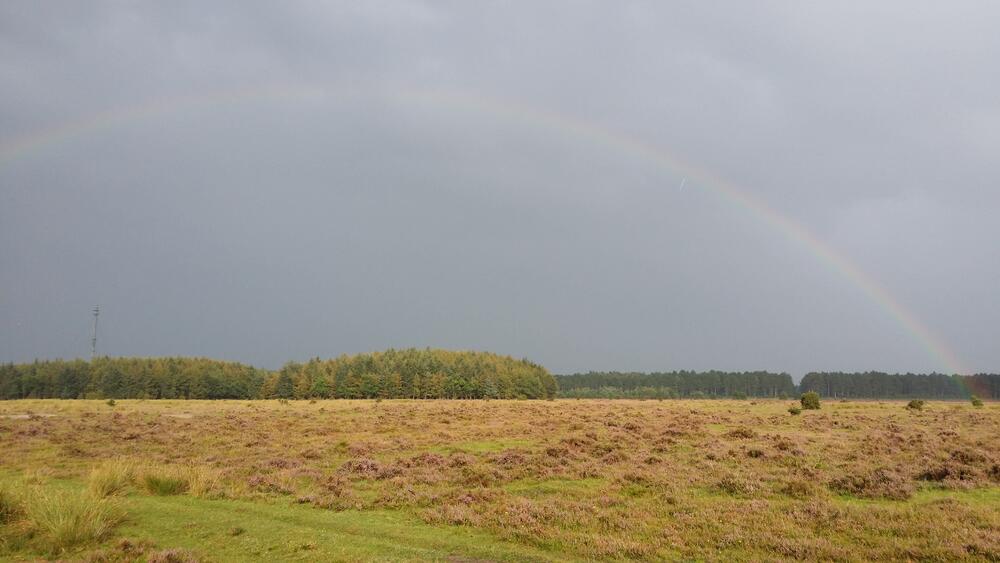 Cuxhavener Küstenheiden © André Kopka/DBU Naturerbe GmbH