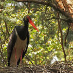 Salzunger Vorderrhön © Trautwein/Bundesforst