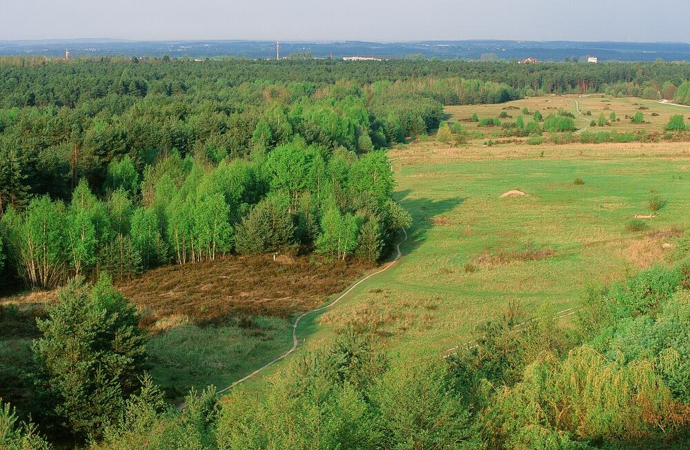 Tennenlohe © Norbert Rosing