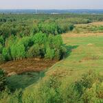 Tennenlohe © Norbert Rosing