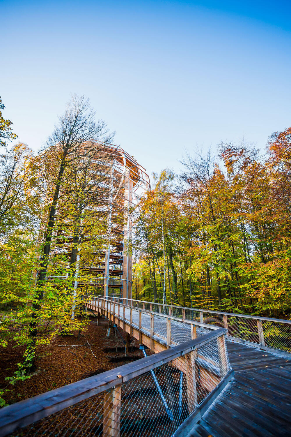 Prora © Naturerbezentrum Rügen