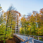 Prora © Naturerbezentrum Rügen