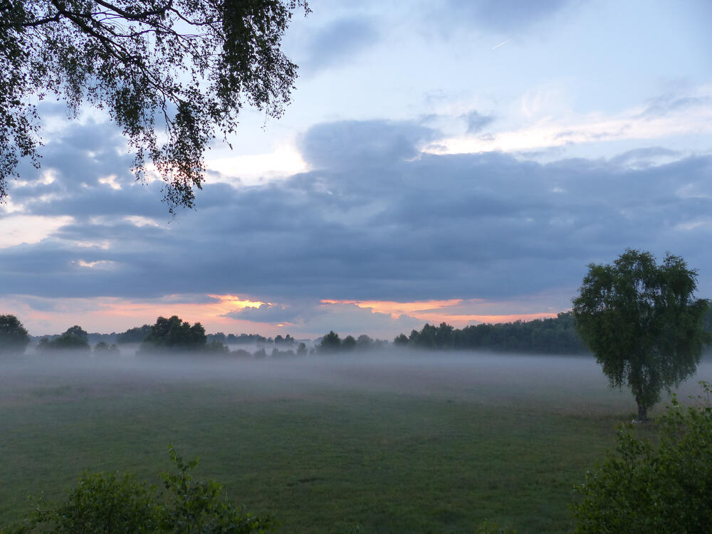 Wersener Heide © Bundesforst