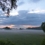 Wersener Heide © Bundesforst