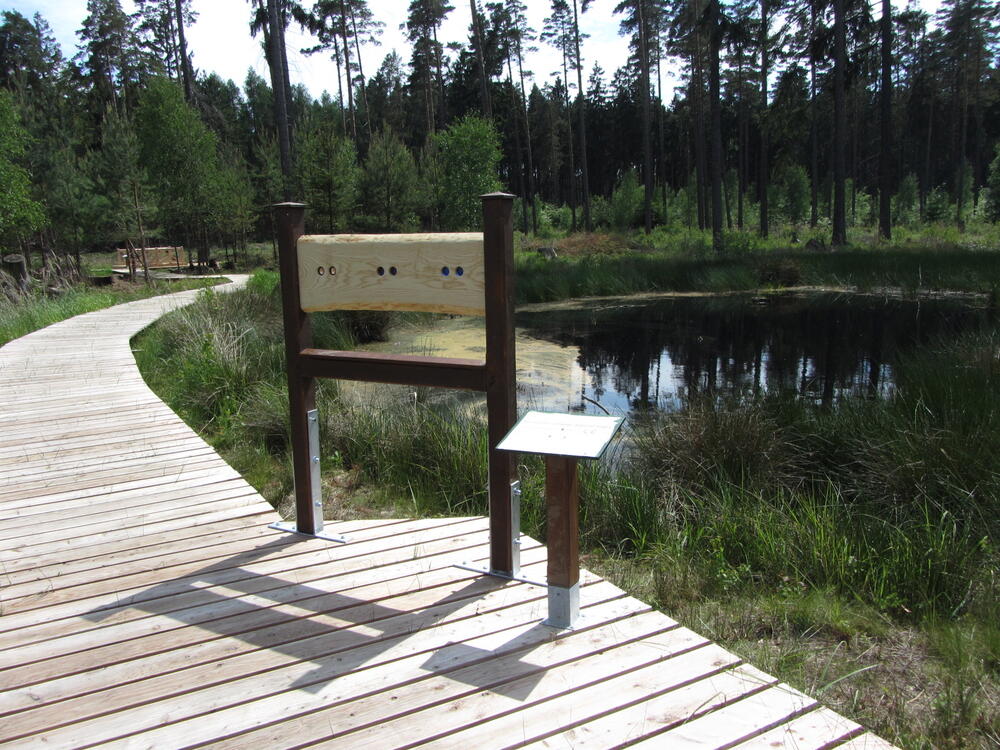 Pöllwitzer Wald © Robert Zimmermann-Safar