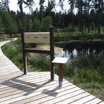 Pöllwitzer Wald © Robert Zimmermann-Safar