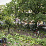 Schulgarten © Katharina Kühnel