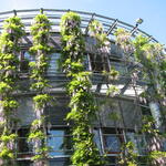 DBU-Gebäude im Sommer 2011 