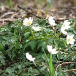 Exkursion Abschlussveranstaltung April 2013 