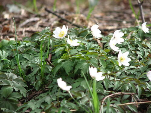 Exkursion Abschlussveranstaltung April 2013 