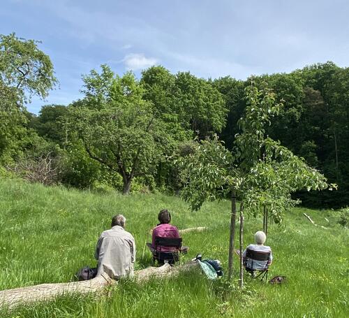 Citizen Scientist bei der Beobachtung während der Brutzeit. © Kerstin Höntsch