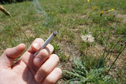 Wahner Heide Waldbrandgefahr © DBU Naturerbe