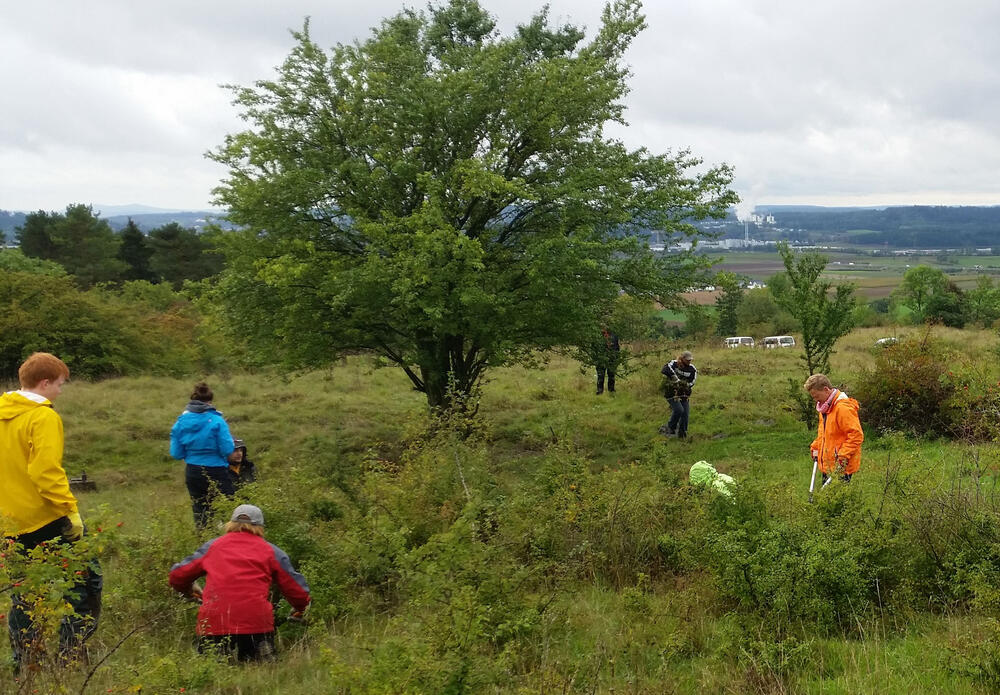 Bergwaldprojekt am Lauterberg © DBU/ Bergwaldprojekt e.V.