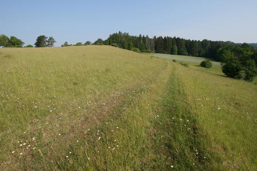 DBU-Naturerbefläche Lauterberg, Offenland © Poniatowski/DBU