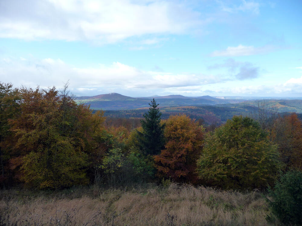 DBU-Naturerbefläche Salzunger Vorderrhön © DBU/Fuellhaas