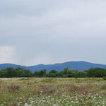 DBU-Naturerbefläche Ebenberg, Offenland © Deutsche Bundesstiftung Umwelt