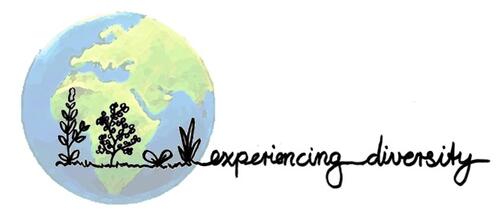 Logo Experiencing Diversity, Jugendkongress 2015 &copy; Tomke Schoss / Experiencing Diversity