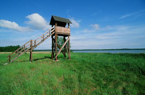 Aussichtsturm Ueckermünder Heide &copy; Norbert Rosing