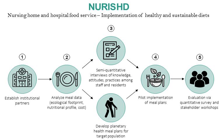 Übersicht der Projektschritte © Dr. Nathalie Lambrecht