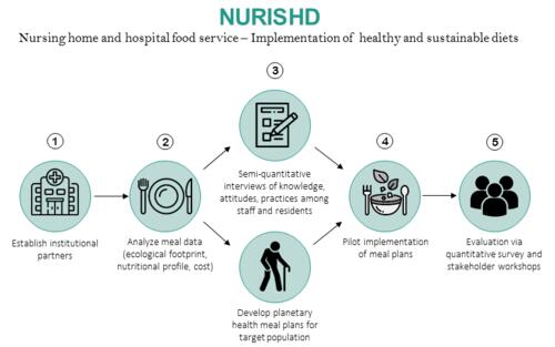 Übersicht der Projektschritte © Dr. Nathalie Lambrecht