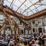 Veranstaltung zum Thema Public Engagement für planetare Gesundheit in Berlin © Thomas Rosenthal