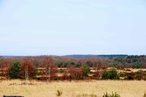 Schmale Heide_Ruegen &copy; DBU Naturerbe