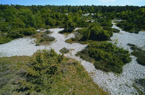 Feuersteinfelder_Ruegen &copy; Norbert Rosing