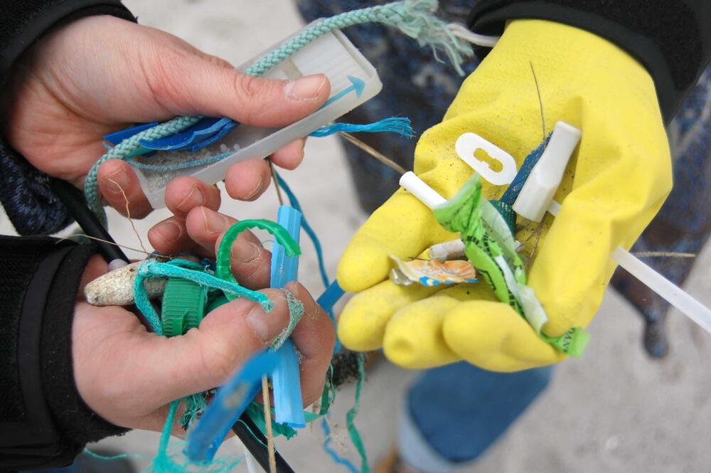 Plastikmüll © Mossbauer/ EUCC-D)