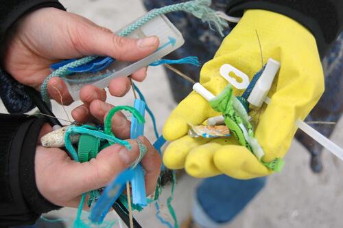 Plastikmüll © Mossbauer/ EUCC-D)