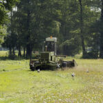 Grünlandmahd © Naturschutzstiftung Heidekreis