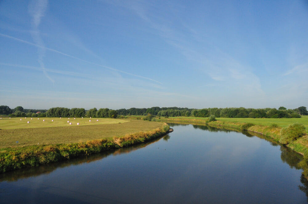 Grünland an der Aller © Naturschutzstiftung Heidekreis
