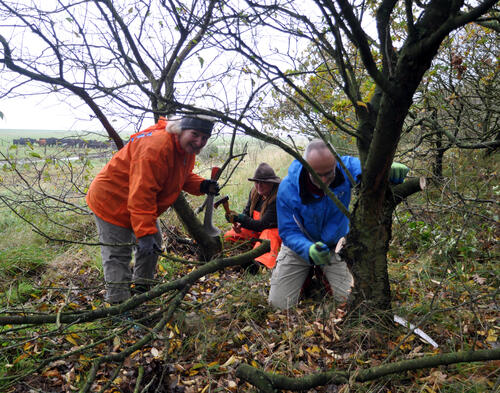 Sehen Sie selbst... © Bergwaldprojekt