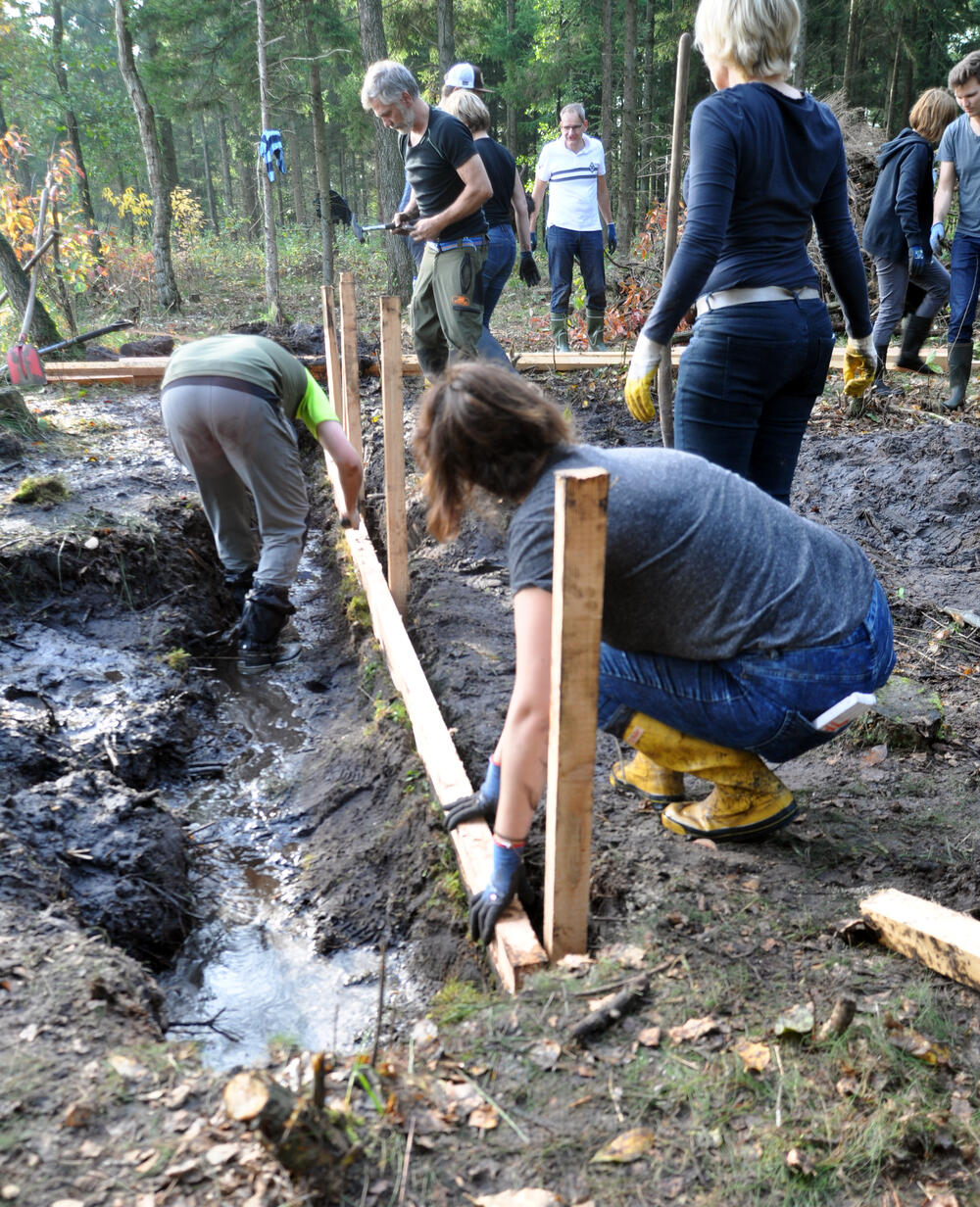 Sehen Sie selbst... © Bergwaldprojekt