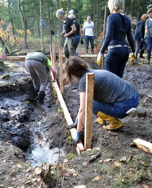 Sehen Sie selbst... © Bergwaldprojekt