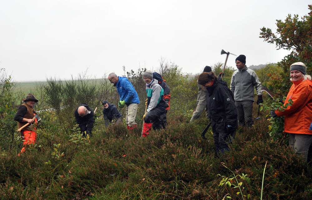 Sehen Sie selbst... © Bergwaldprojekt