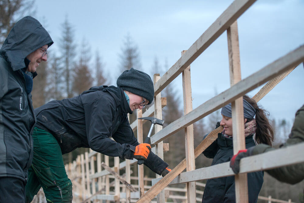 DBU-Naturerbefläche Lauterberg - Hordengatterbau © Bergwaldprojekt e. V.