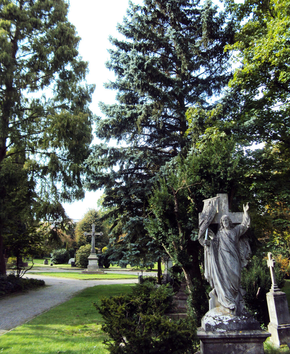 Friedhof Pflege Osnabrück &copy; OSB