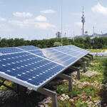 Dachgarten &copy; DDV