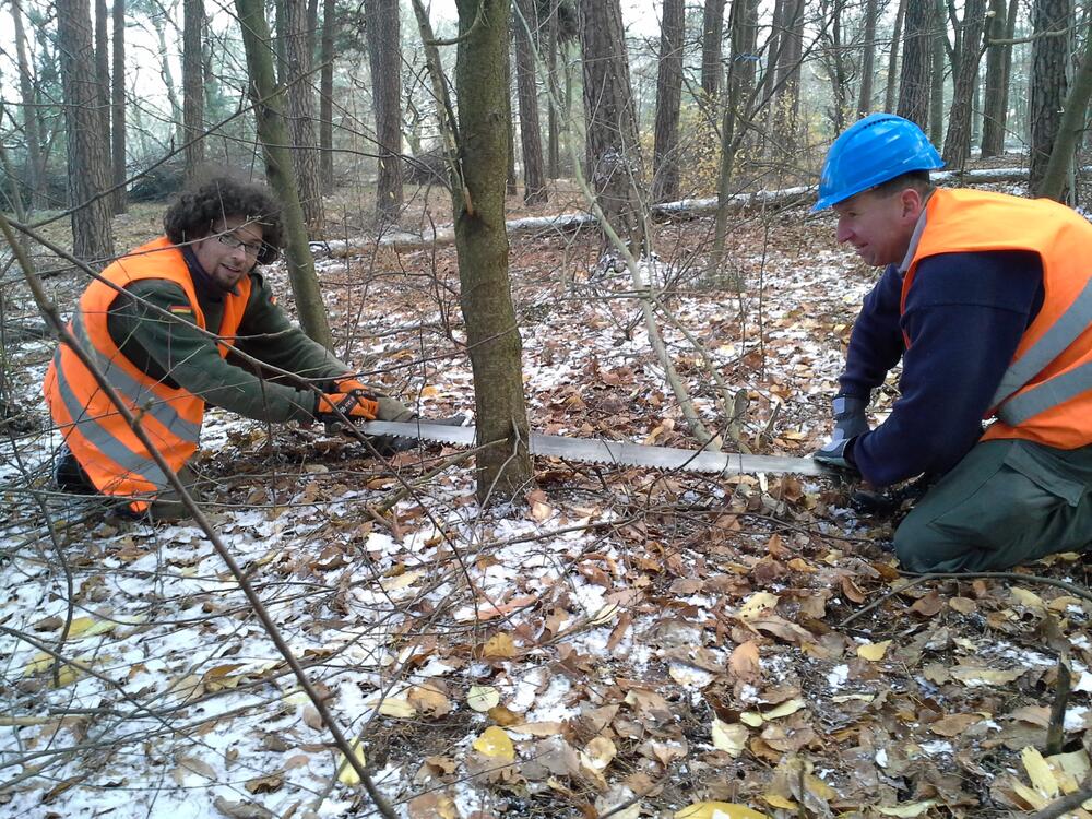 Bergwaldprojekt e.V. © Bergwaldprojekt e.V.